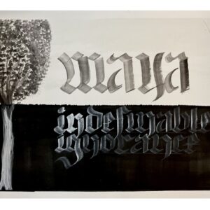 Maya - Indefinable Ignorance